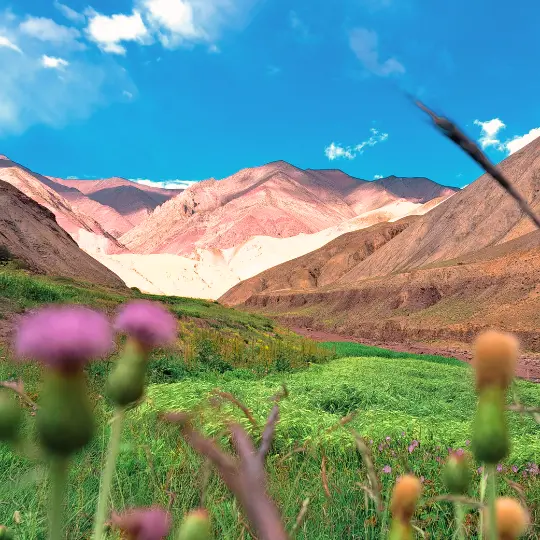 Markha Valley Trek