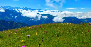 Gulabi Kantha Trek 2026 - Complete Guide, Cost, Itinerary 20 Gulabi Kantha Trek Difficulty