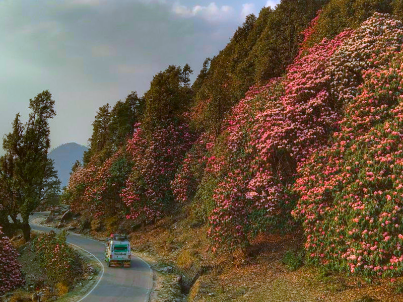 chandrashila trek 