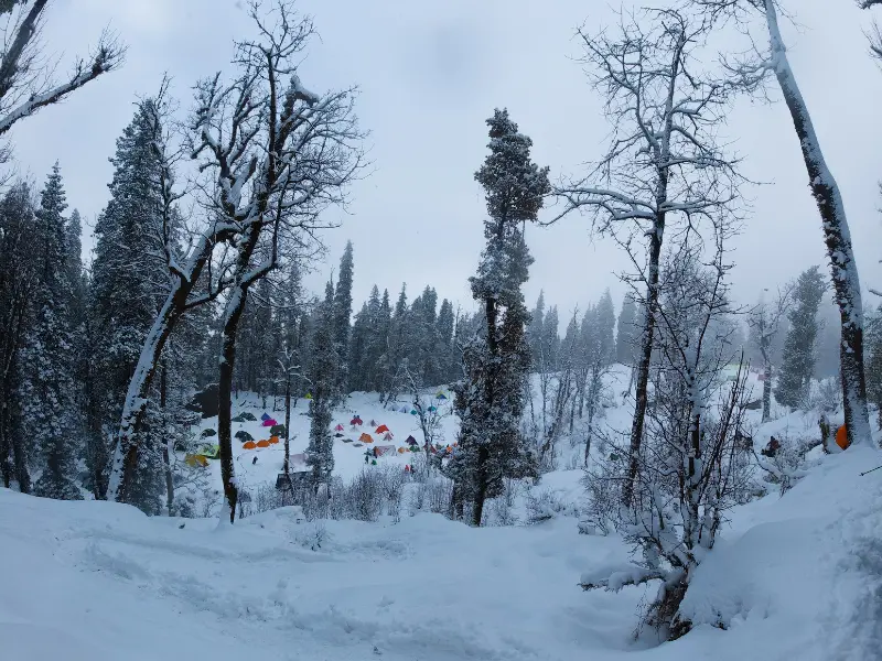 Gulabi Kantha Trek vs Kedarkantha Trek: Which One Should You Choose? 5 Gulabi Kantha Trek vs Kedarkantha Trek