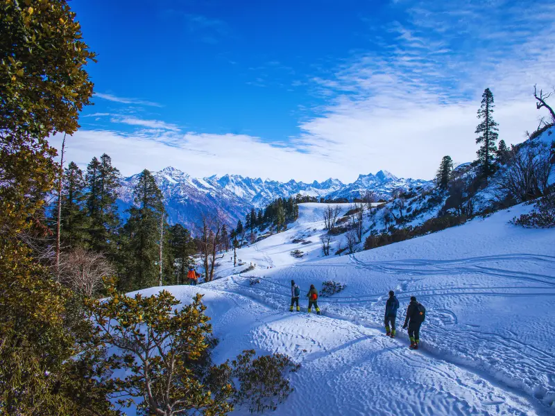 Best Winter Treks In Uttarakhand 1 Trekkers walking through snow-covered forest trail on Kedarkantha trek in winter