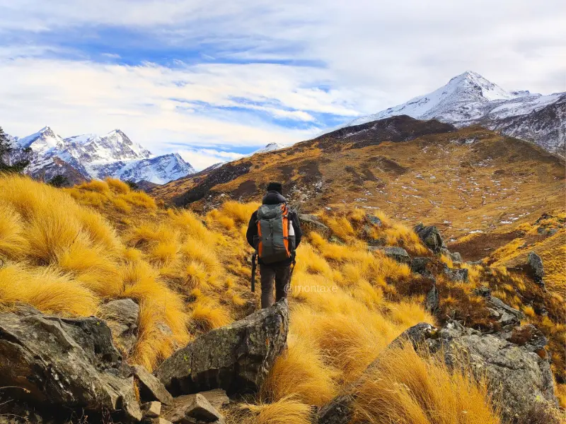 Best Winter Treks In Uttarakhand 5 Solo trekker walking through alpine terrain on Kuari Pass trek during winter