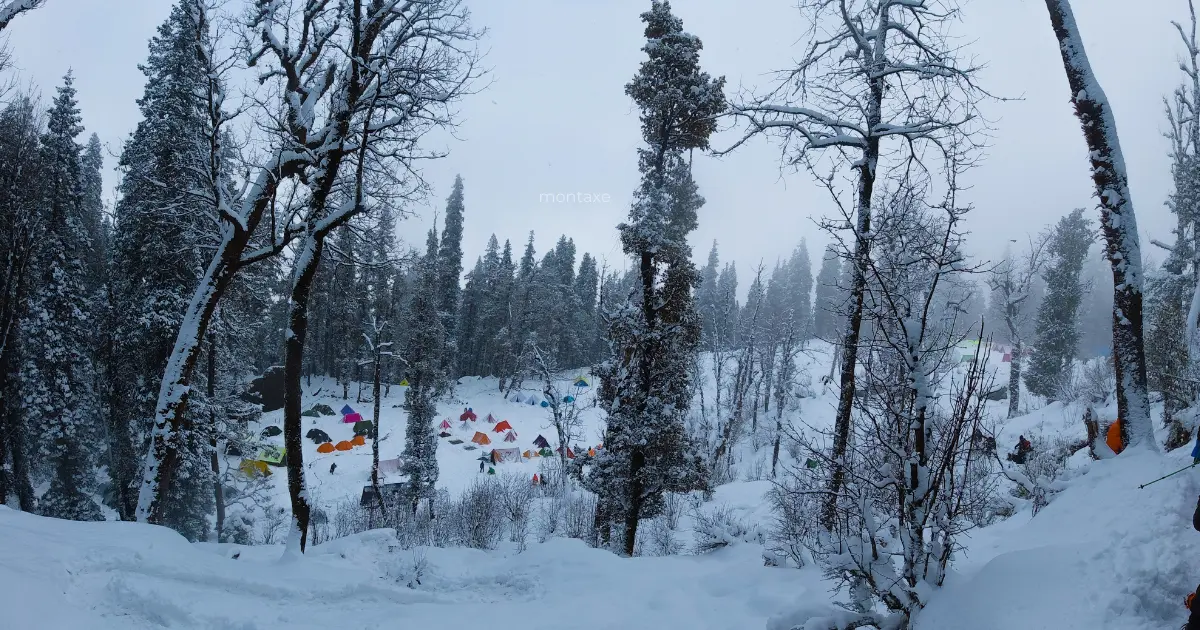 Snow-covered forest campsite with tents during a winter trek in Uttarakhand