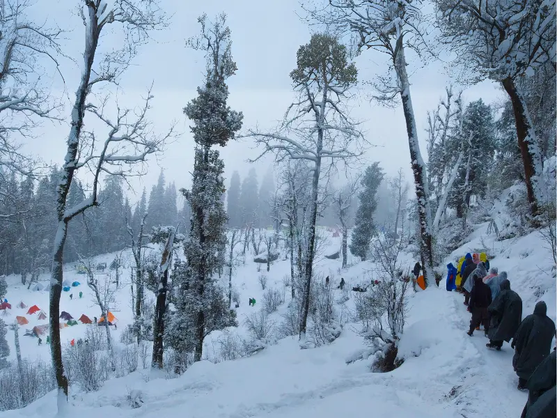 Gulabi Kantha Trek vs Kedarkantha Trek: Which One Should You Choose? 1 Gulabi Kantha Trek vs Kedarkantha Trek