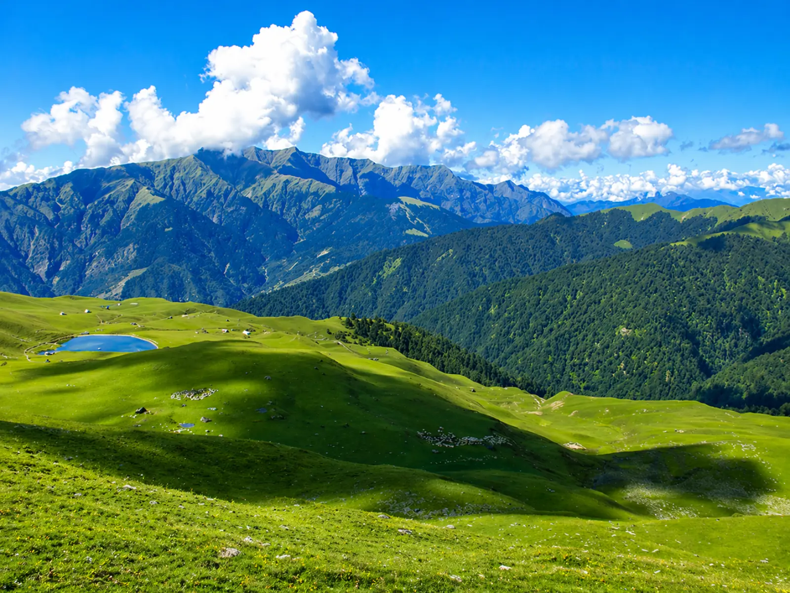 Ali Bedni Bugyal Trek 4 Ali Bedni Bugyal Trek