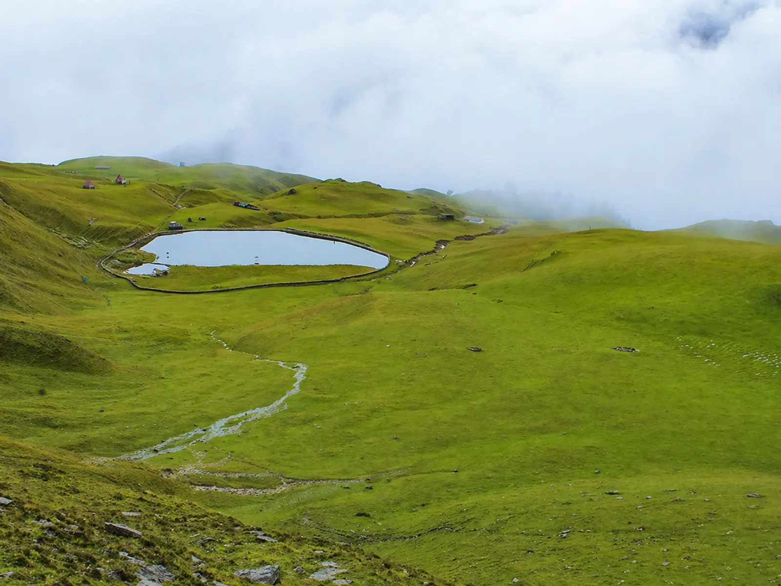 Ali Bedni Bugyal Trek 5 Ali Bedni Bugyal Trek