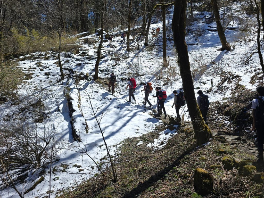Forest Walk Gulabi Kantha