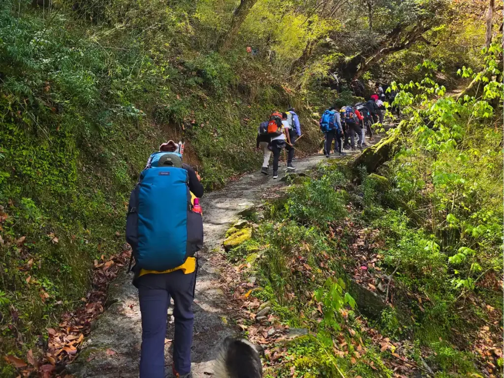 Gulabi Kantha Trek With Jalpaiguri Government Engineering College (JGEC): A Journey Through Snow, Forests And Team Spirit 3 Gulabi Kantha Trek