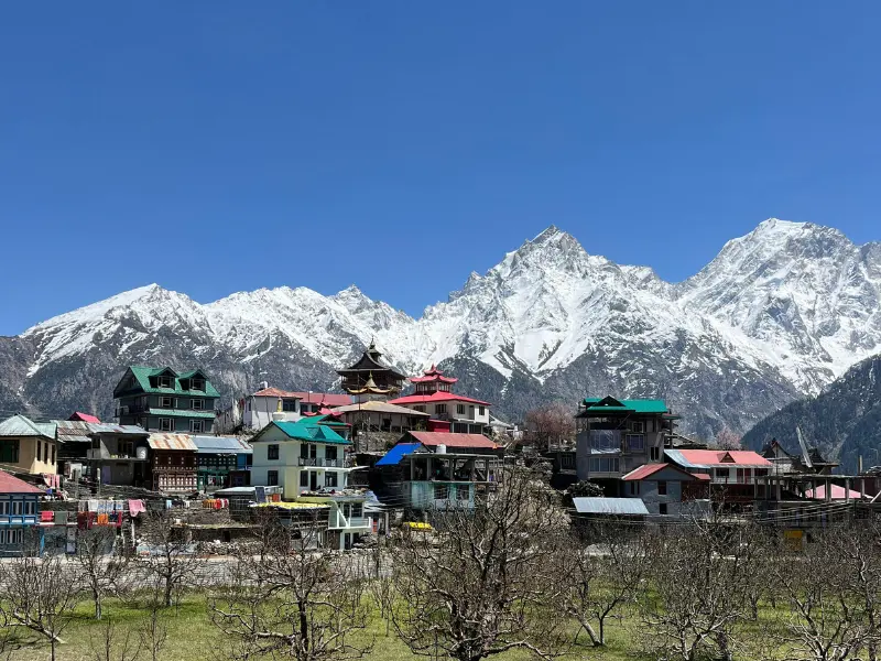 Yulla kanda trek Himachal Pradesh